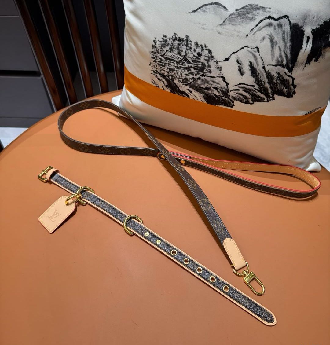 LV DOG COLLAR AND LEASH (BROWN)