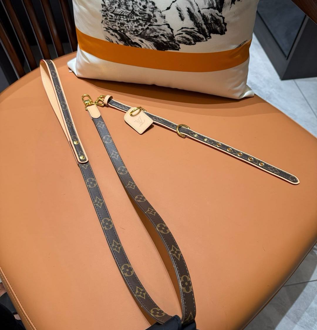 LV DOG COLLAR AND LEASH (BROWN)