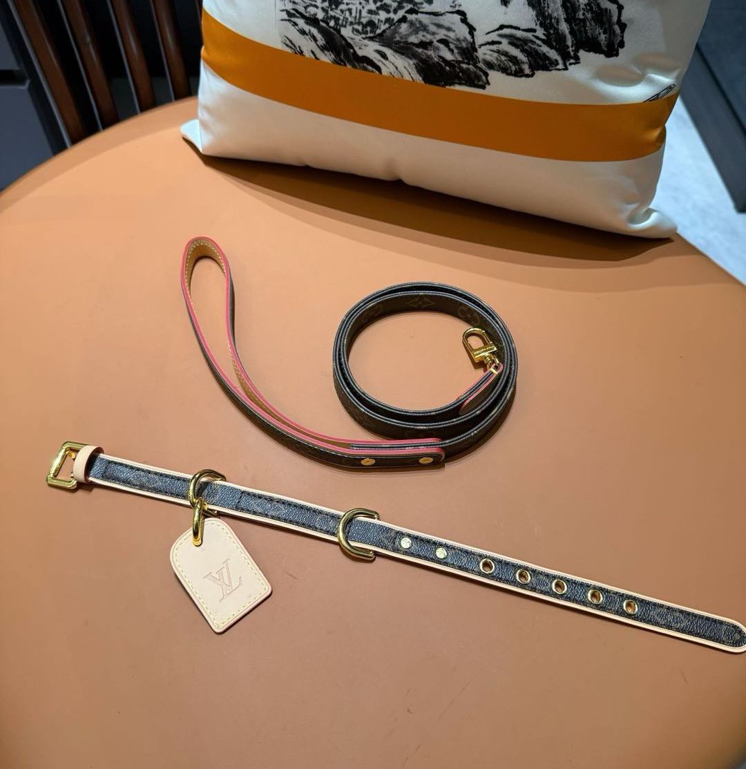 LV DOG COLLAR AND LEASH (BROWN)