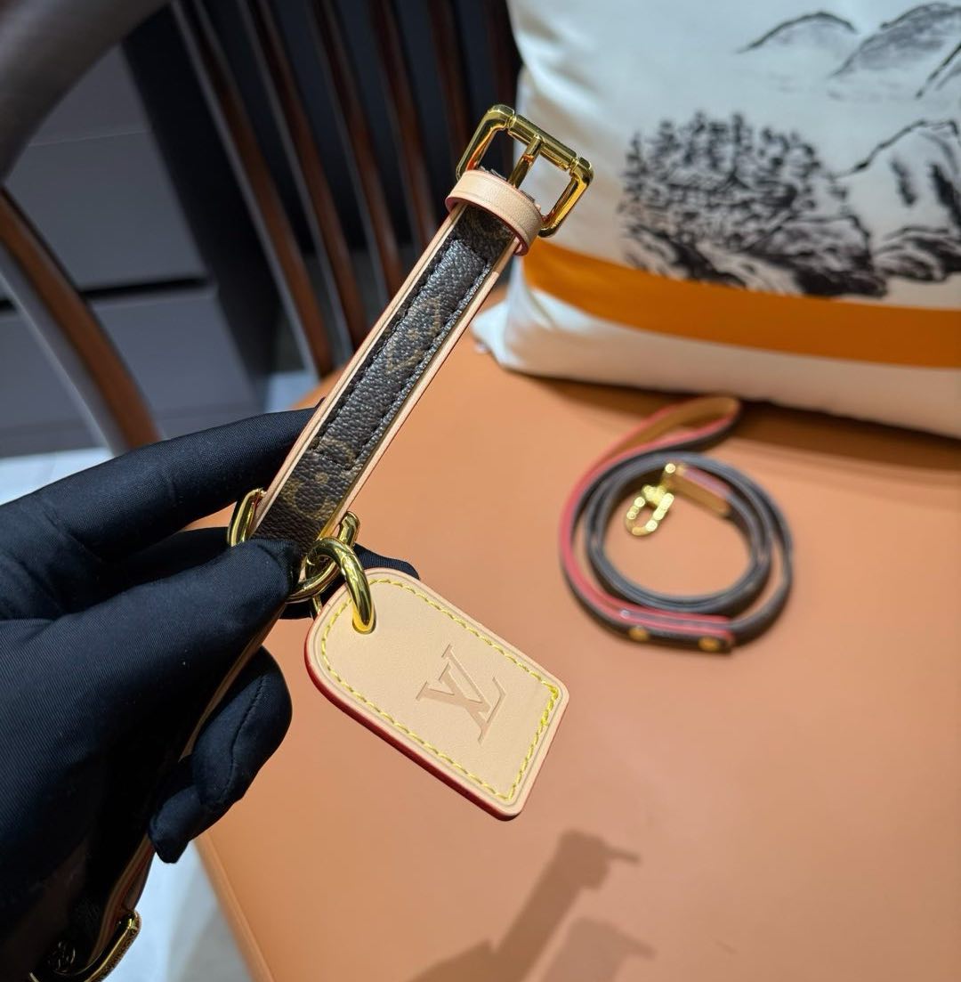 LV DOG COLLAR AND LEASH (BROWN)