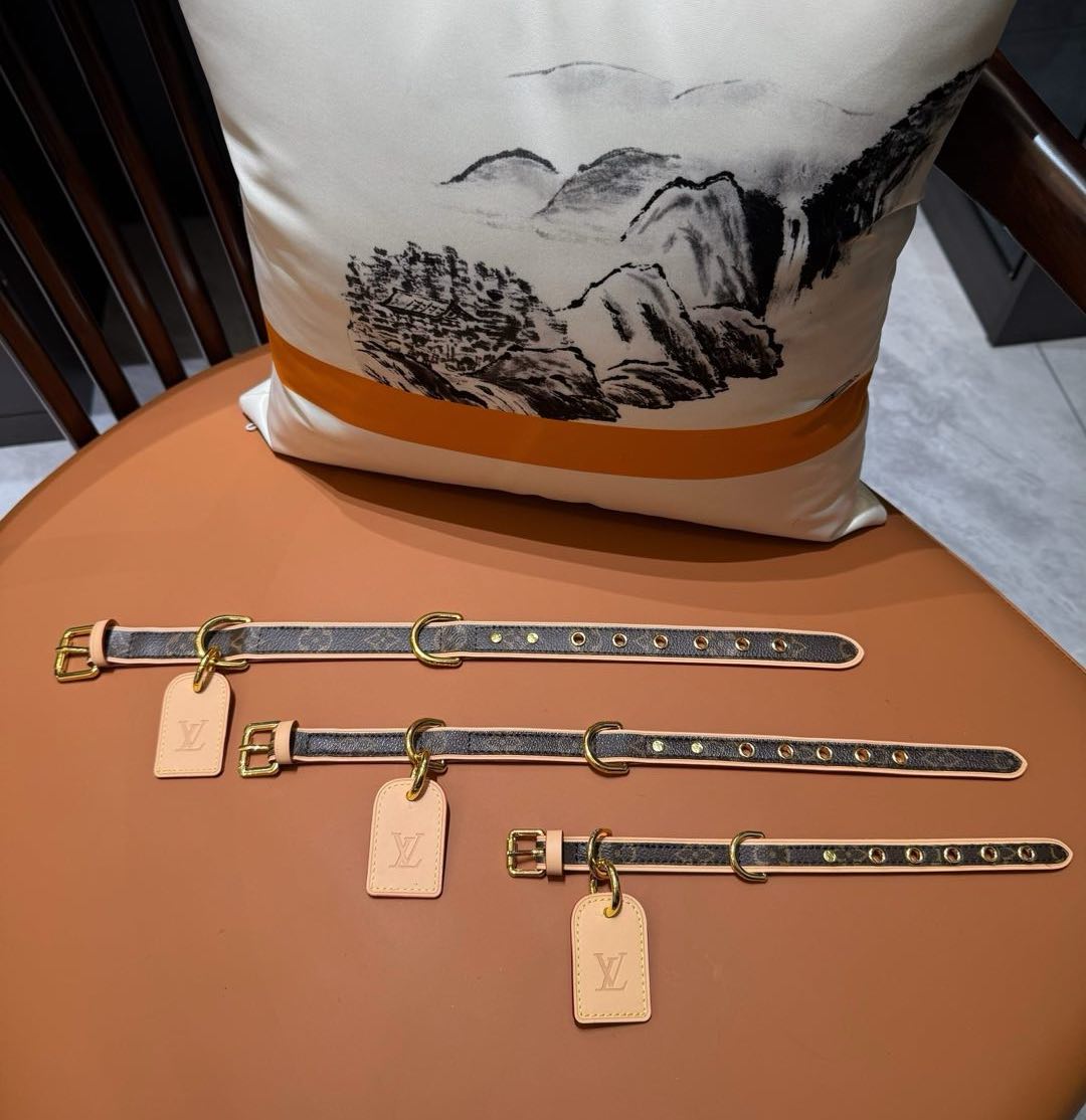 LV DOG COLLAR AND LEASH (BROWN)