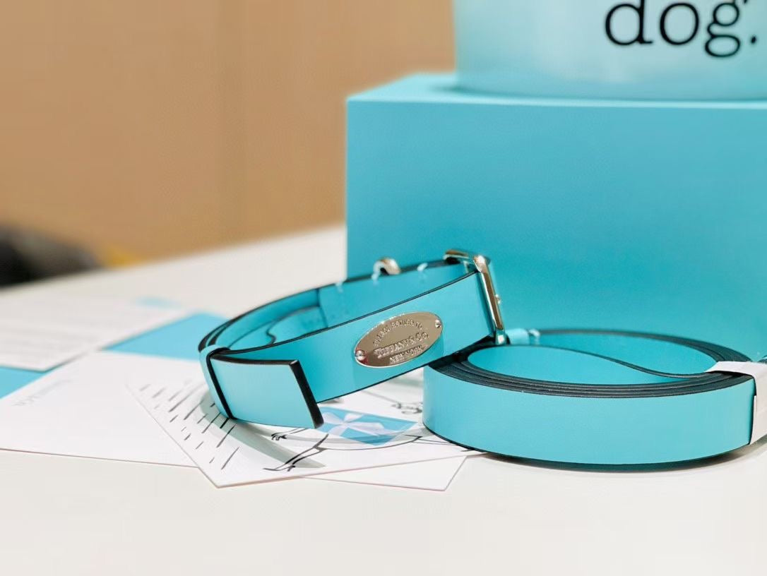 TIFFANY DOG BOWL, COLLAR AND LEASH