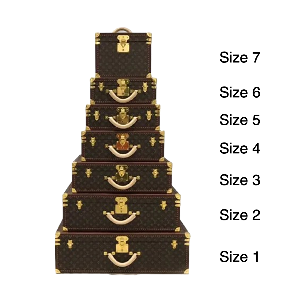 CUSTOM LV ALZER SUITCASE