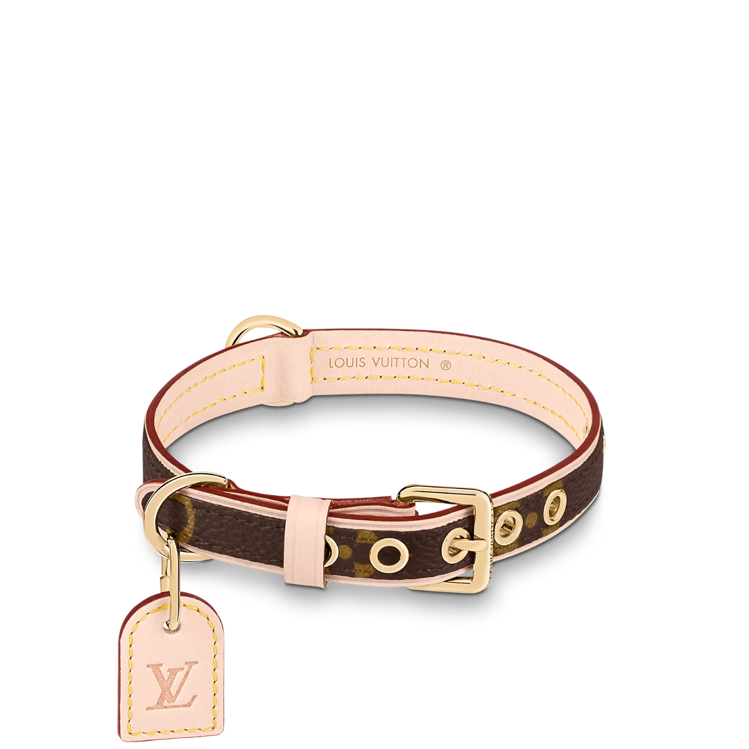 LV DOG COLLAR AND LEASH (BROWN)