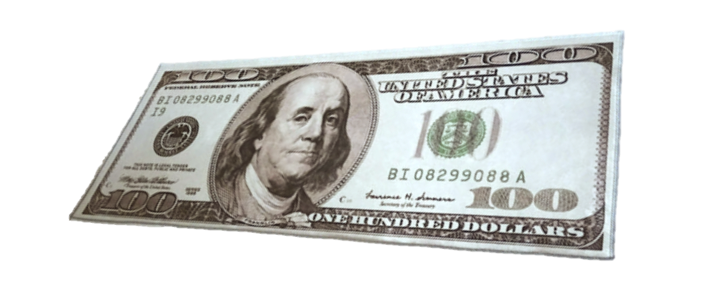 100 DOLLAR BILL RUG - THE PENTHOUSE THEORY Money