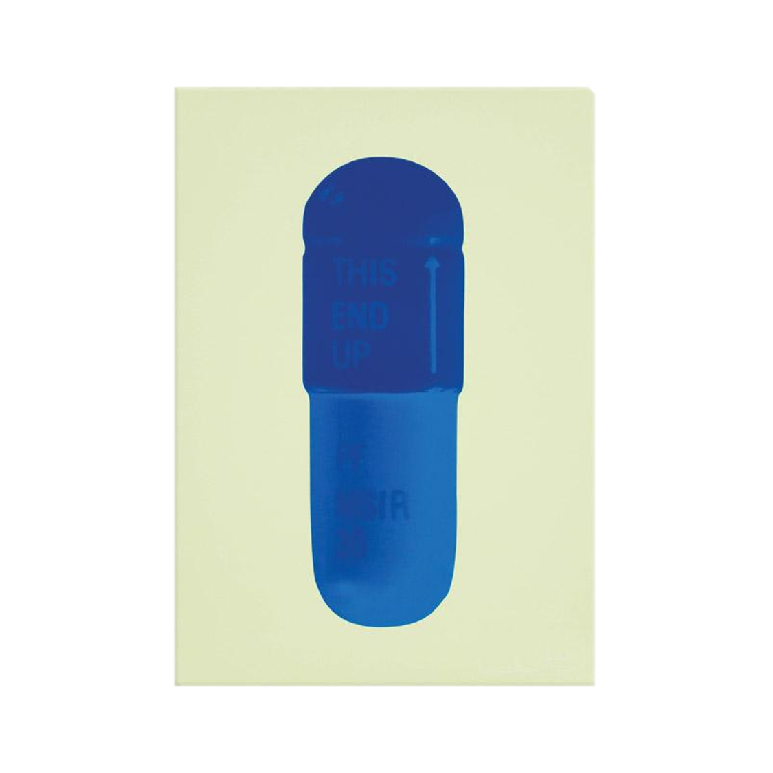 DAMIEN HIRST "THE CURE" PILLS CANVAS PRINT - THE PENTHOUSE THEORY DAMIEN HIRST