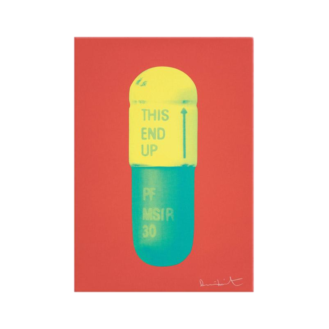 DAMIEN HIRST "THE CURE" PILLS CANVAS PRINT - THE PENTHOUSE THEORY DAMIEN HIRST