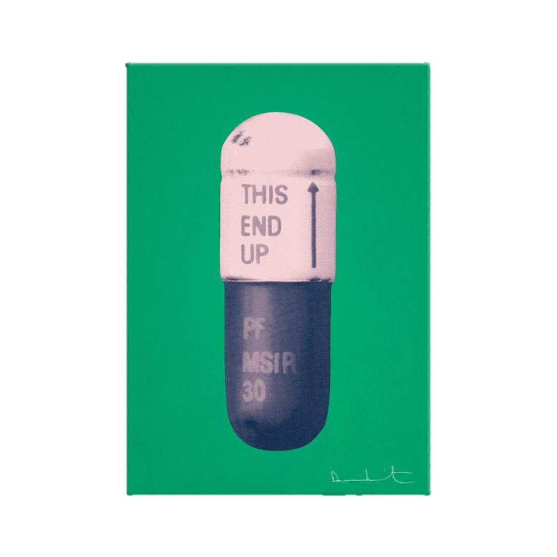DAMIEN HIRST "THE CURE" PILLS CANVAS PRINT - THE PENTHOUSE THEORY DAMIEN HIRST