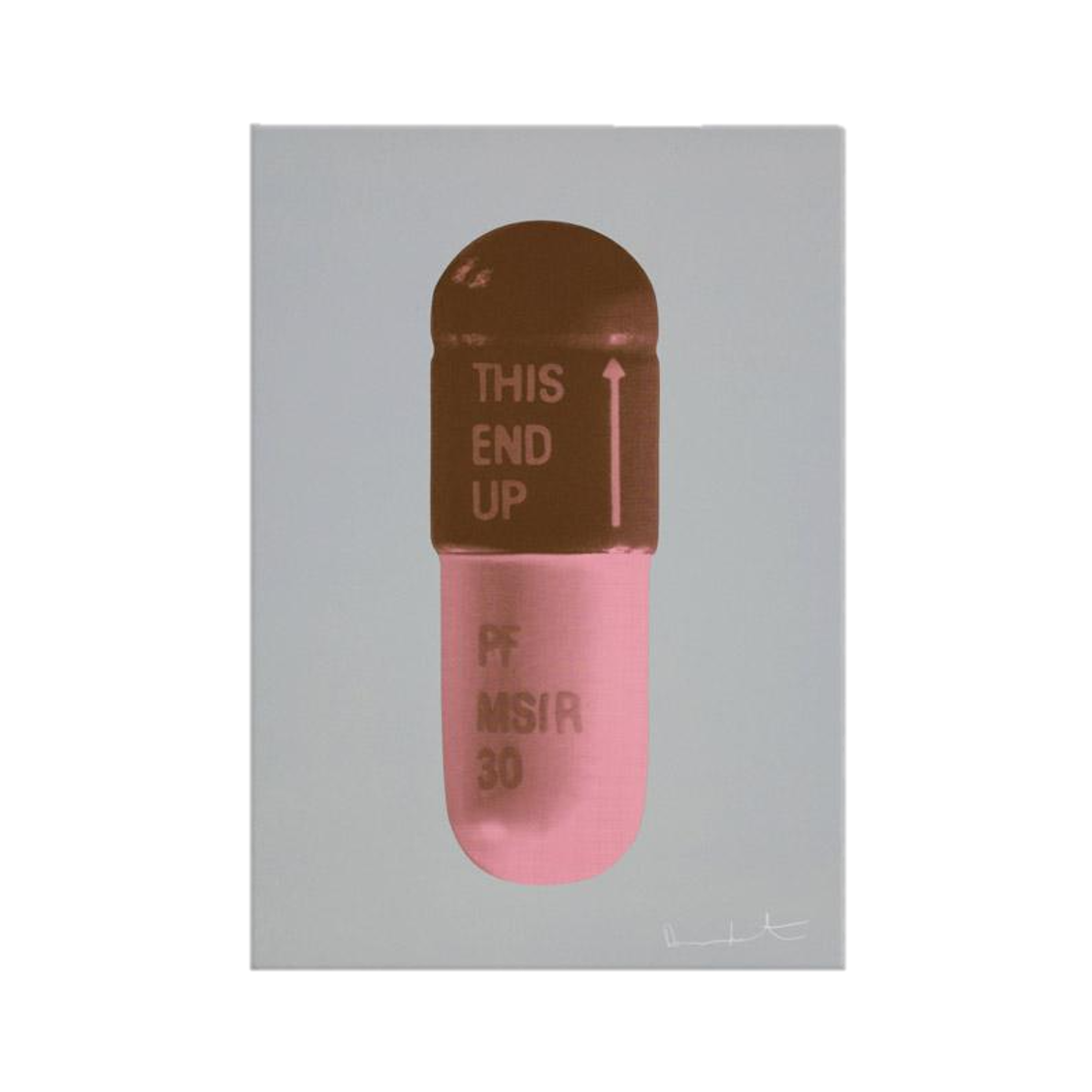 DAMIEN HIRST "THE CURE" PILLS CANVAS PRINT - THE PENTHOUSE THEORY DAMIEN HIRST
