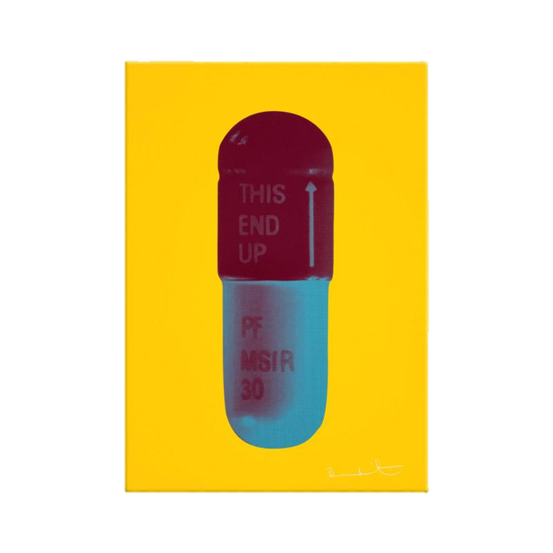 DAMIEN HIRST "THE CURE" PILLS CANVAS PRINT - THE PENTHOUSE THEORY DAMIEN HIRST