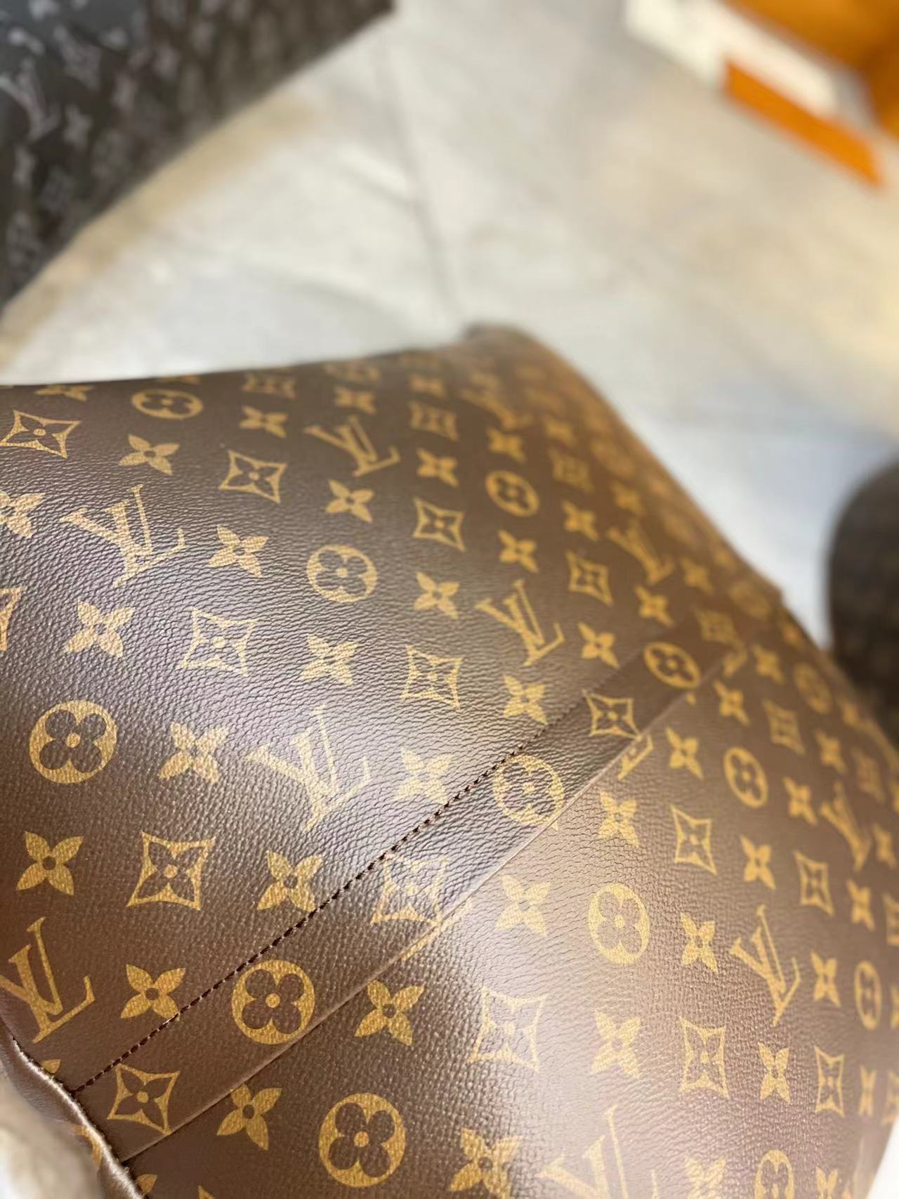 CUSTOM LV VIVIENNE PILLOW