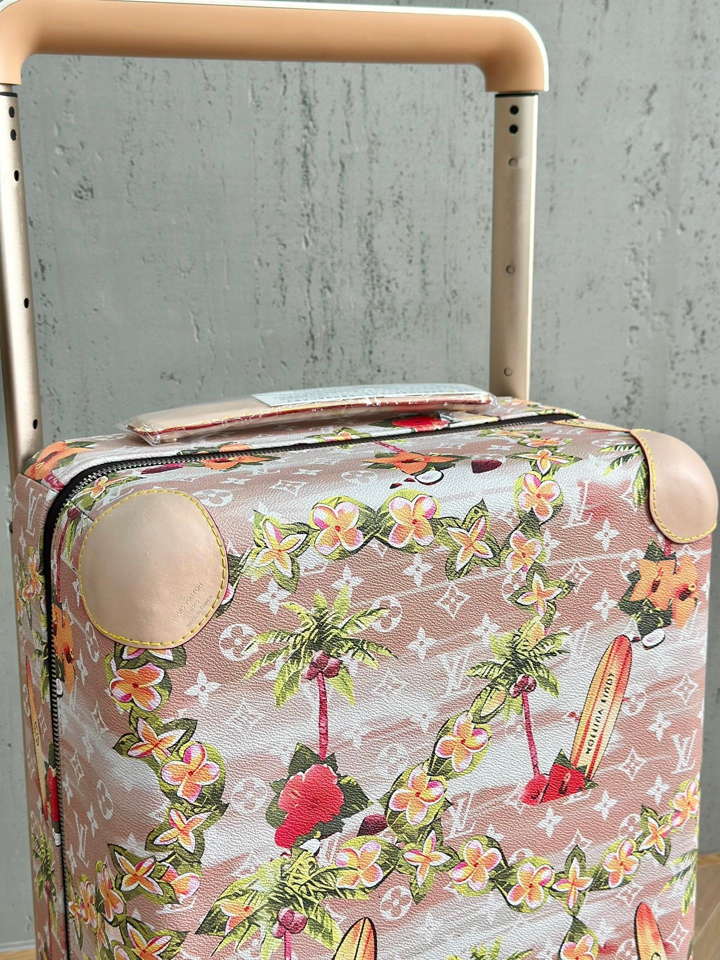 CUSTOM SUMMER SURFING CABIN 37L HORIZON 55 SUITCASE