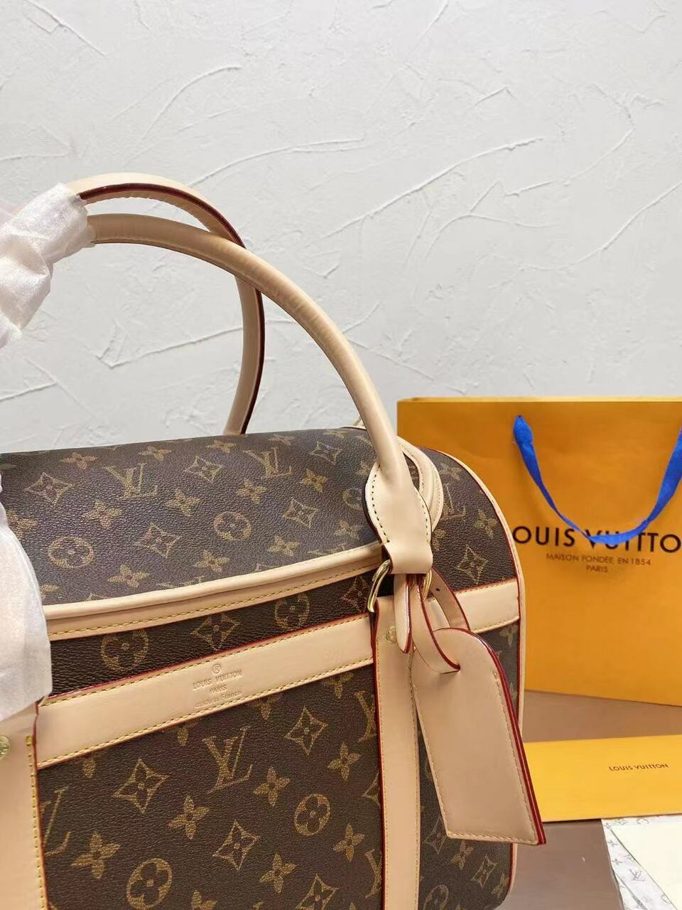 CUSTOM LV PET BAG