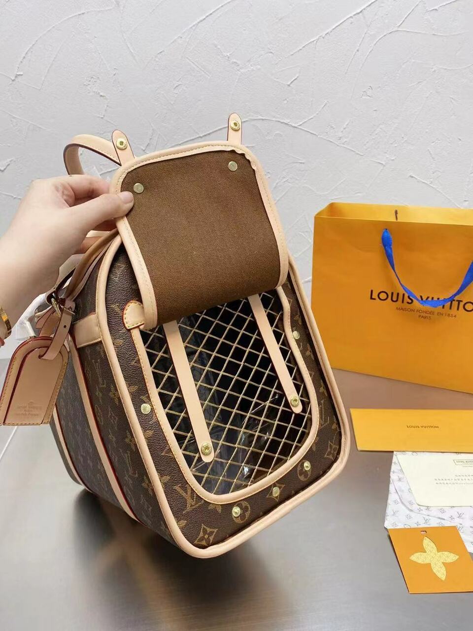 CUSTOM LV PET BAG