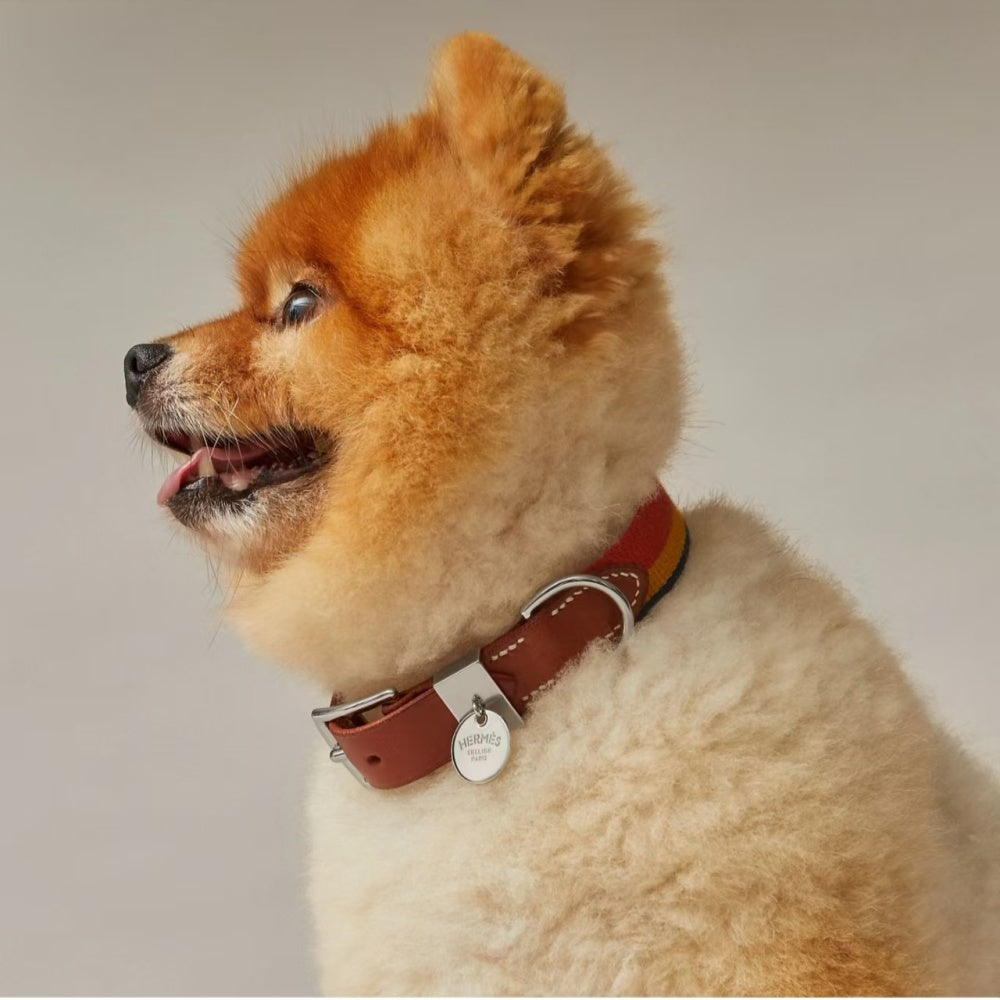 HERMES DOG COLLAR AND LEASH (STRIPES)