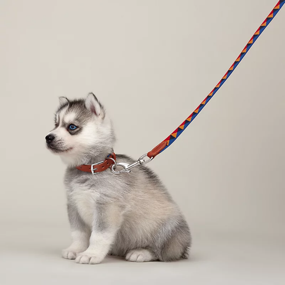 HERMES DOG COLLAR AND LEASH (TRIANGLES)