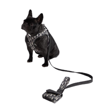 CHRISTIAN DOG HARNESS AND LEASH