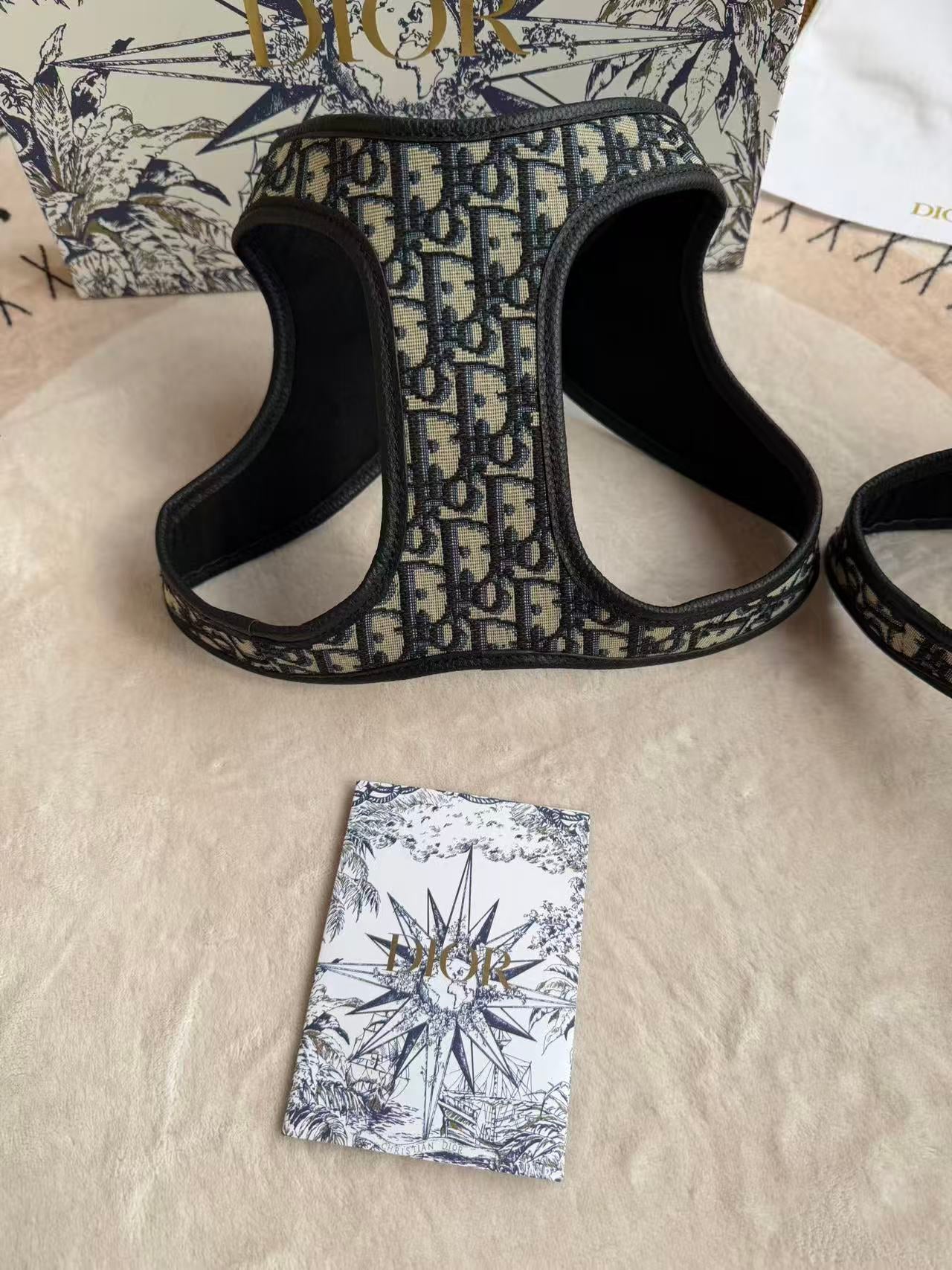 CHRISTIAN DOG HARNESS AND LEASH