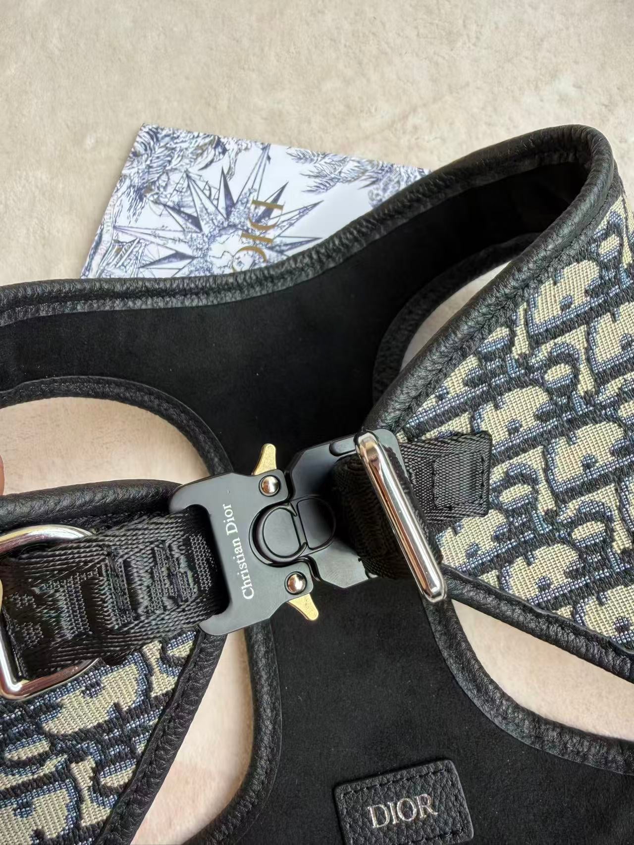 CHRISTIAN DOG HARNESS AND LEASH