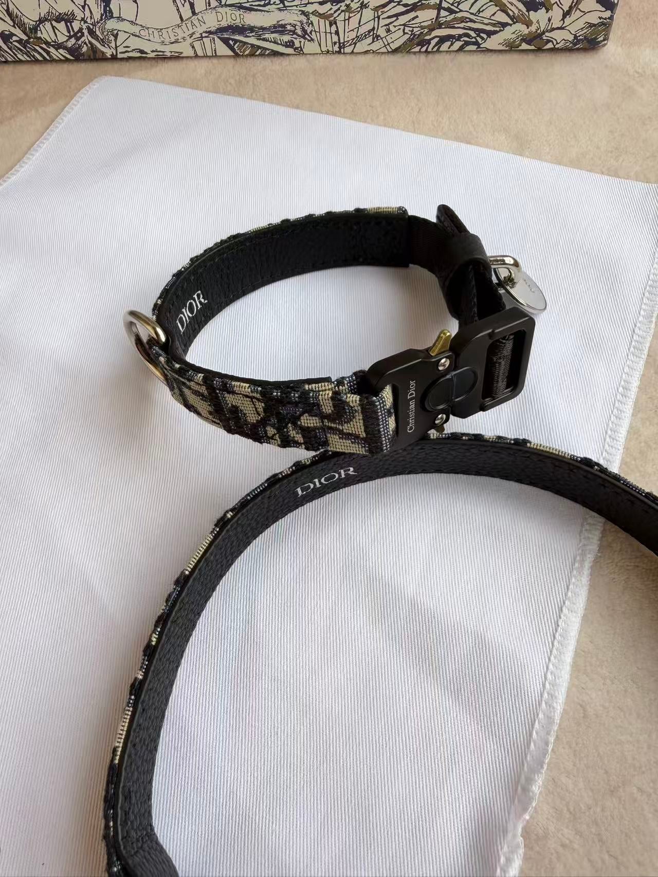 CHRISTIAN DOG COLLAR AND LEASH