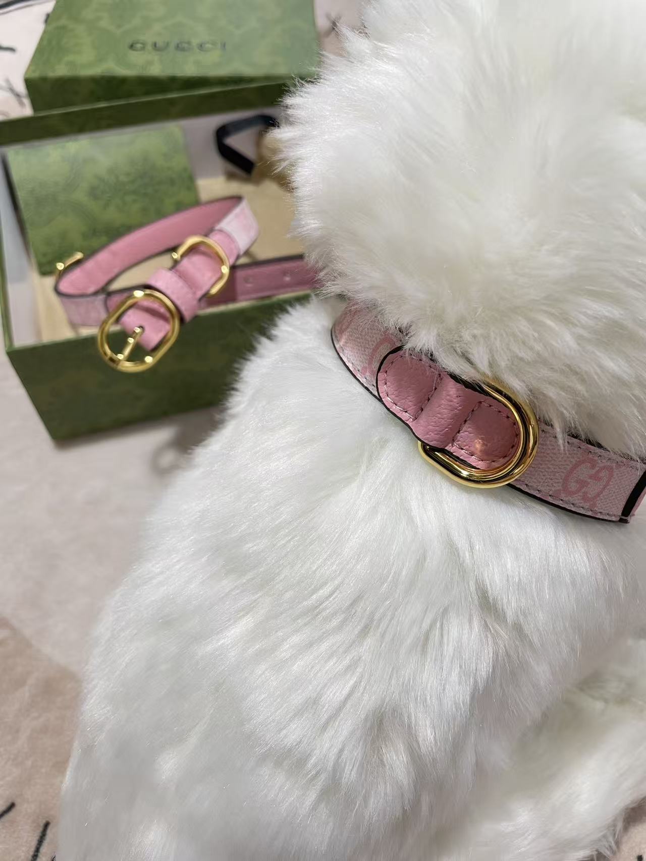 GUCCI DOG COLLAR AND LEASH (PINK)