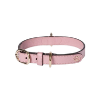 GUCCI DOG COLLAR AND LEASH (PINK)