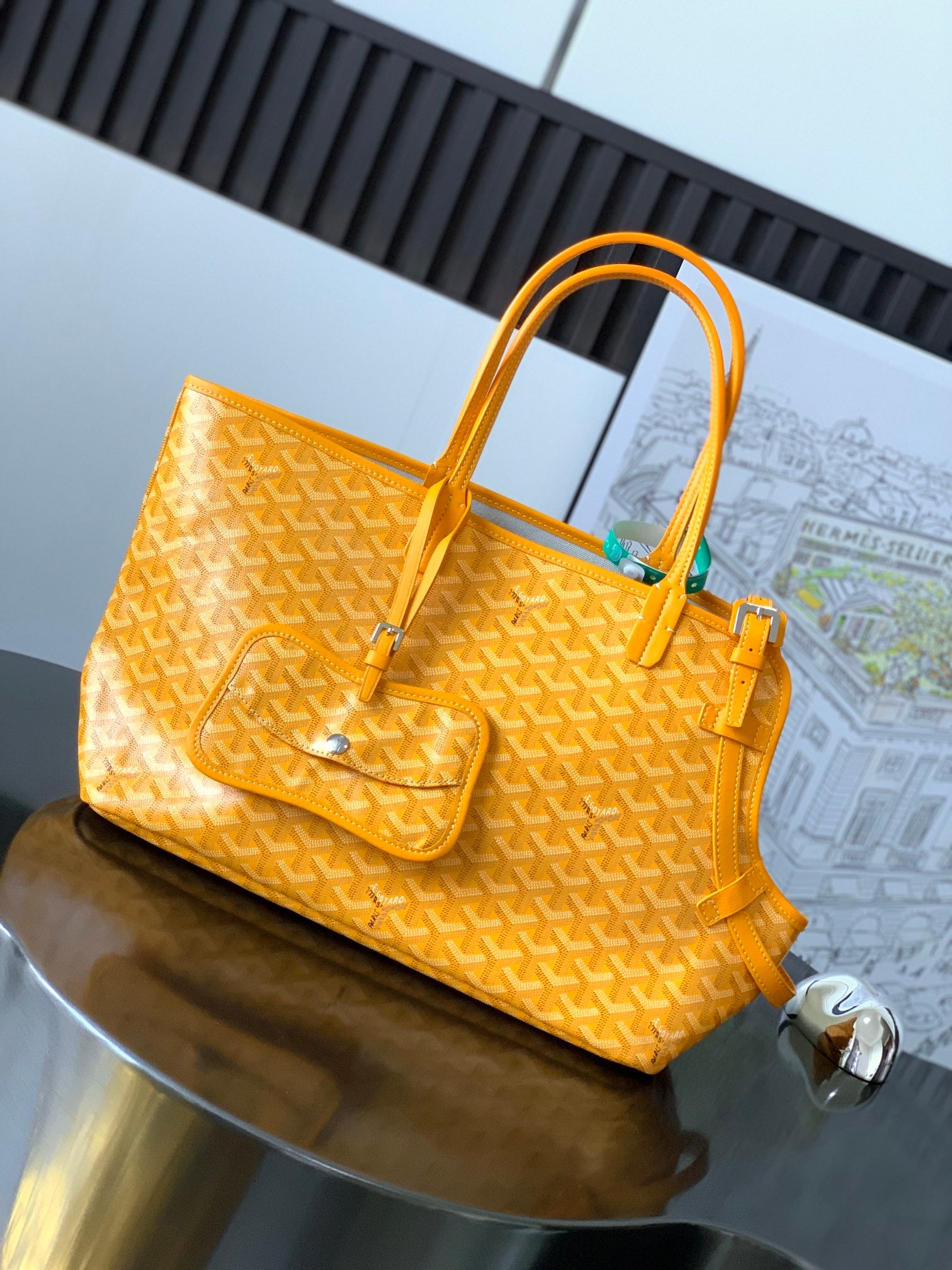 GOYARD PET BAG