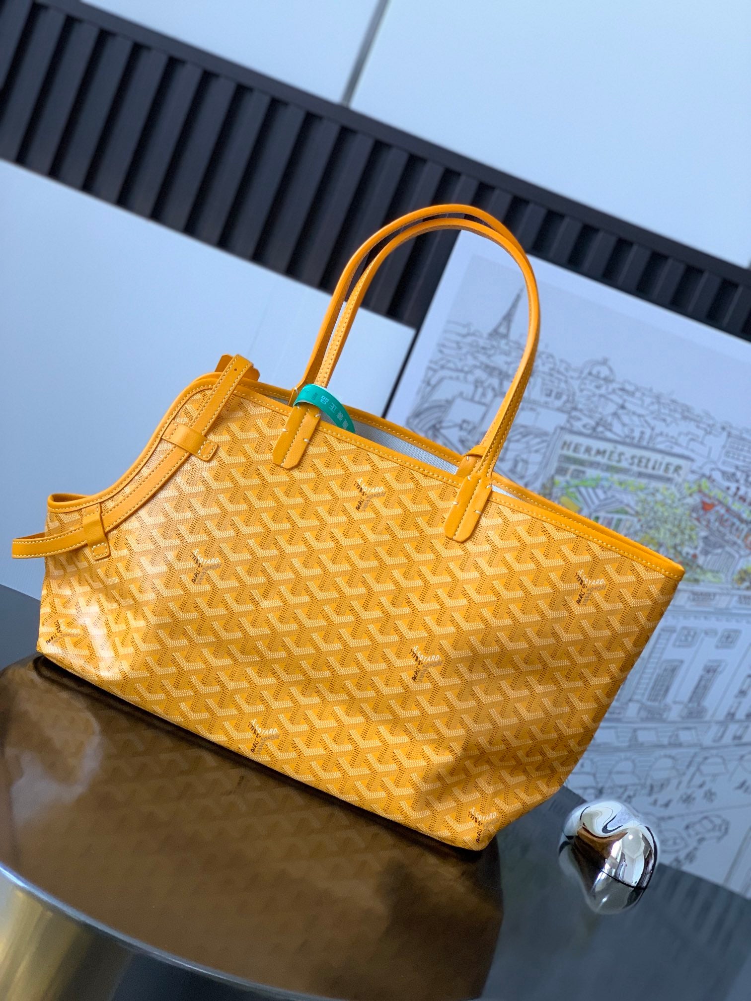 GOYARD PET BAG