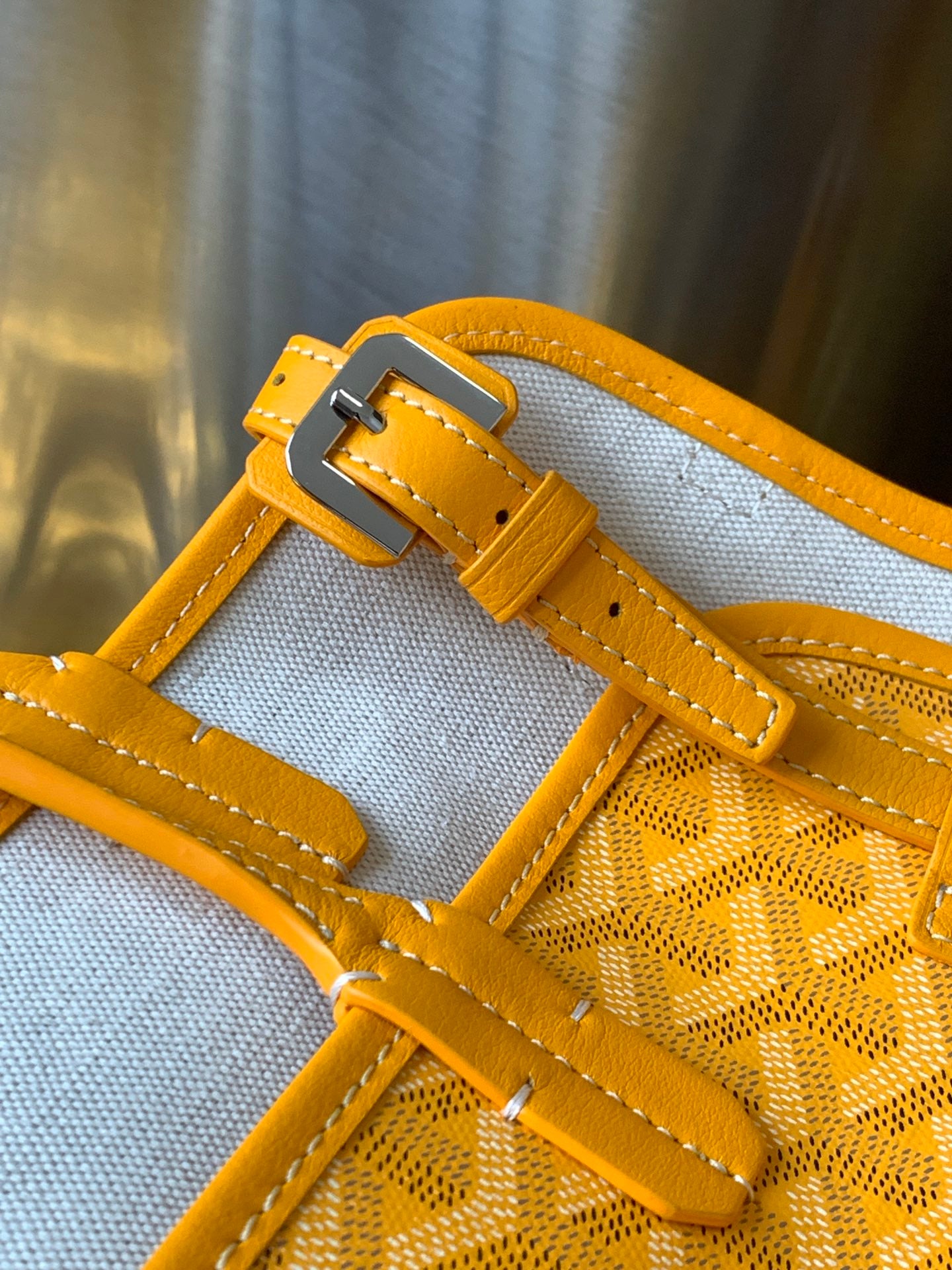 GOYARD PET BAG