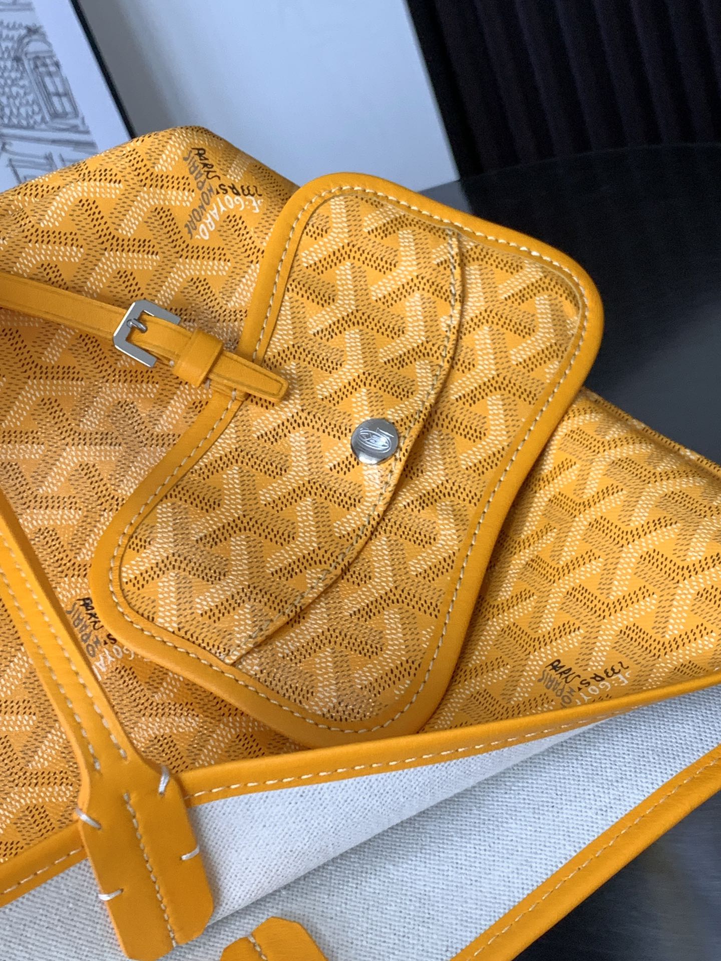 GOYARD PET BAG