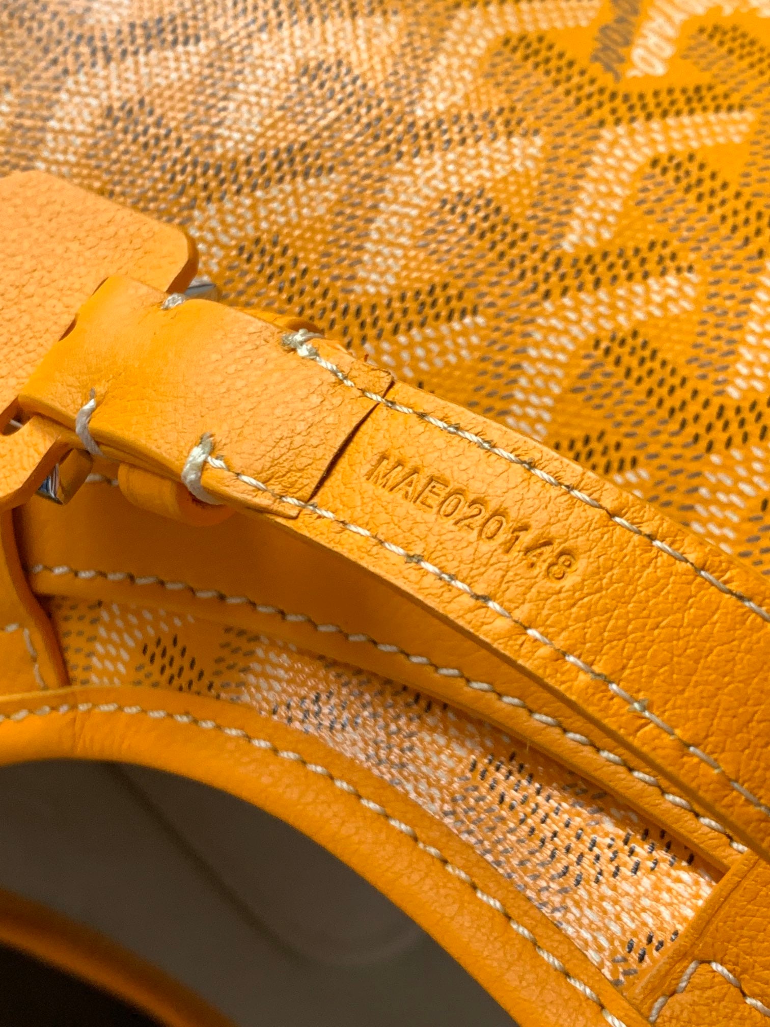 GOYARD PET BAG