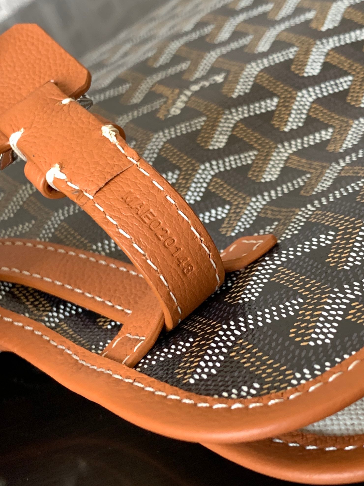 GOYARD PET BAG