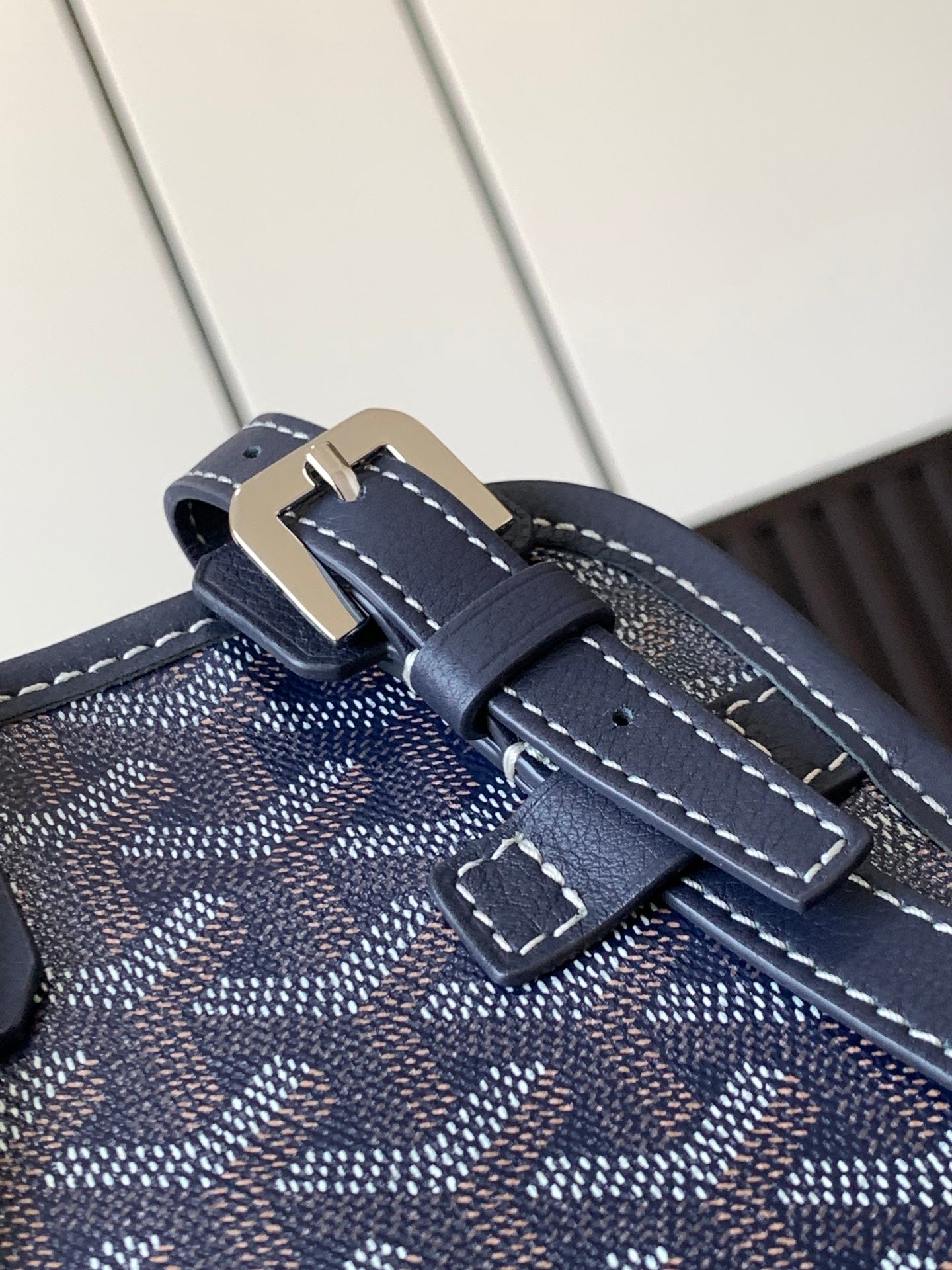 GOYARD PET BAG