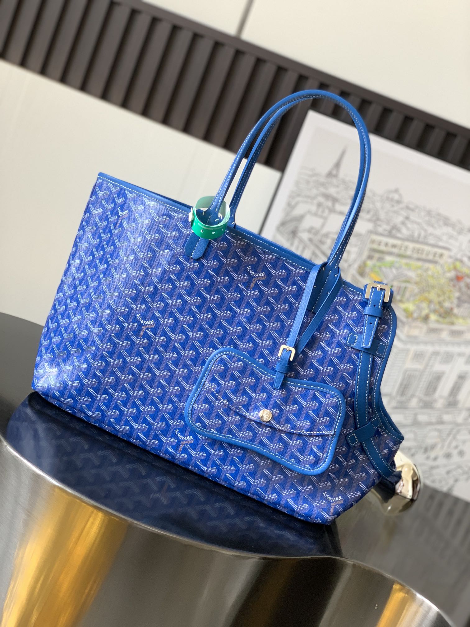 GOYARD PET BAG