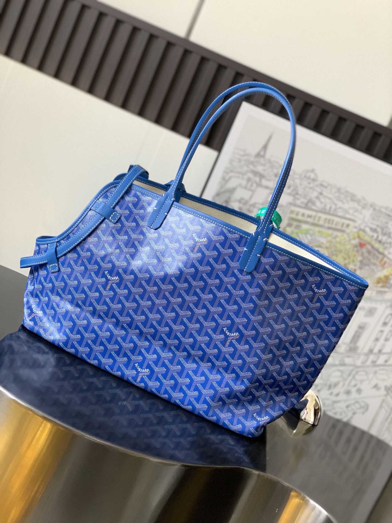 GOYARD PET BAG
