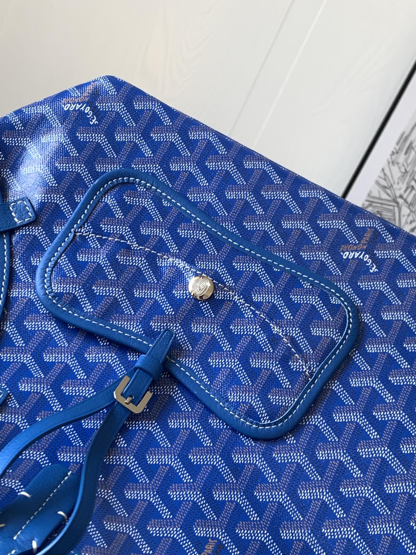 GOYARD PET BAG
