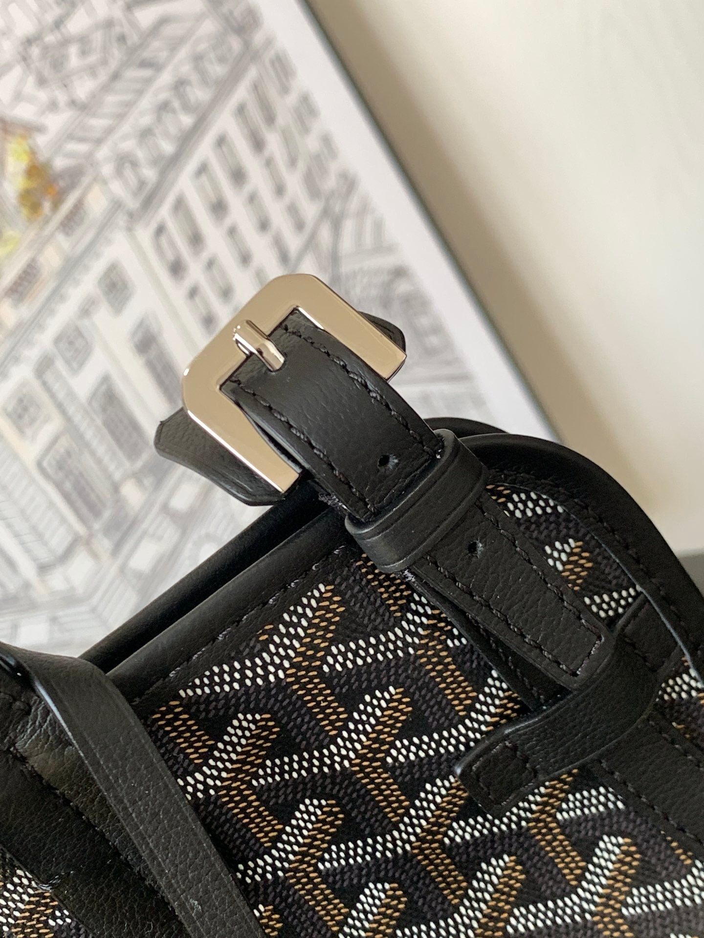 GOYARD PET BAG