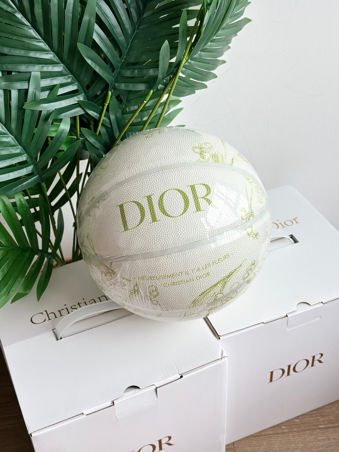 DIOR BASKETBALL 2.0