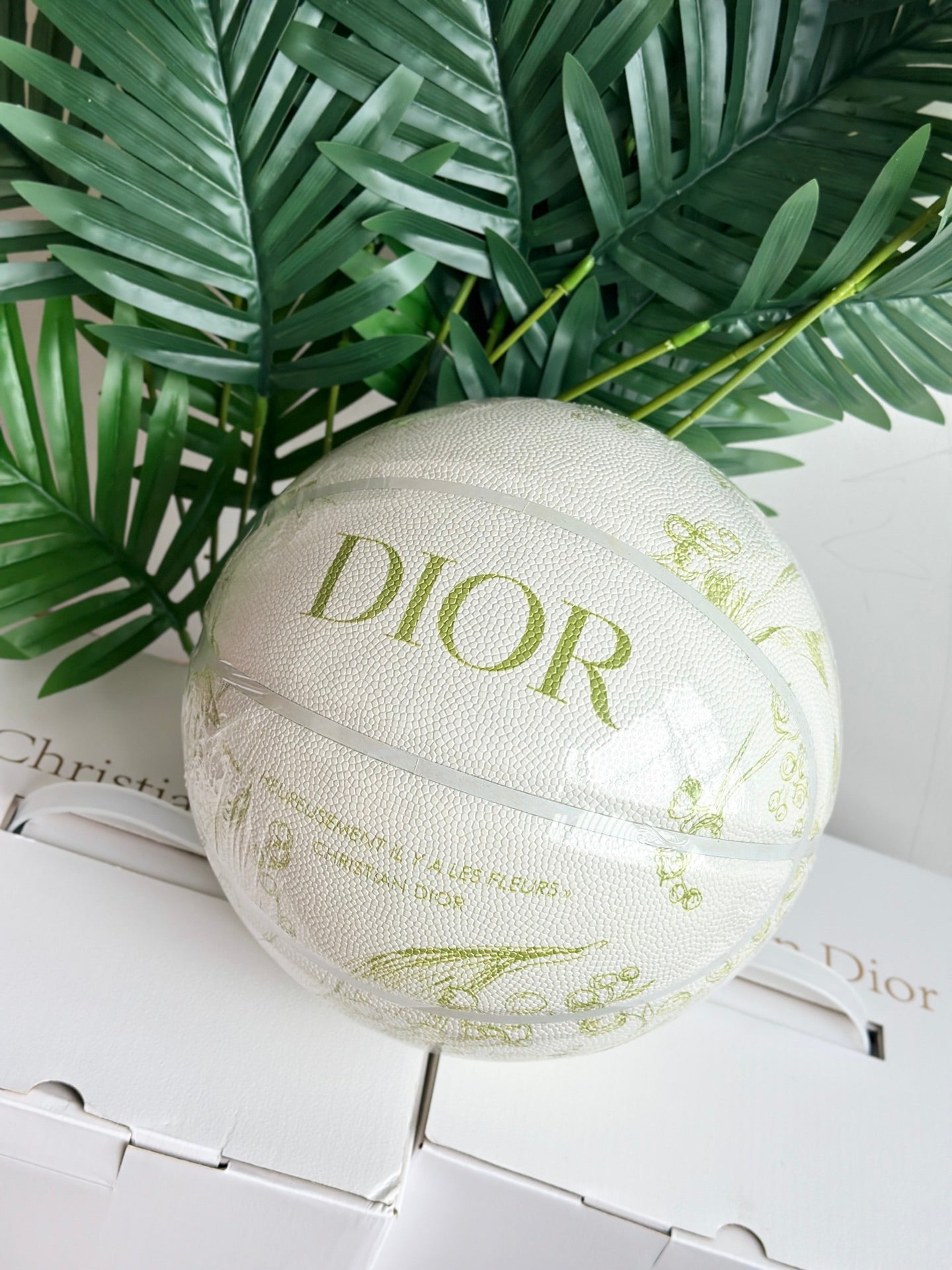 DIOR BASKETBALL 2.0