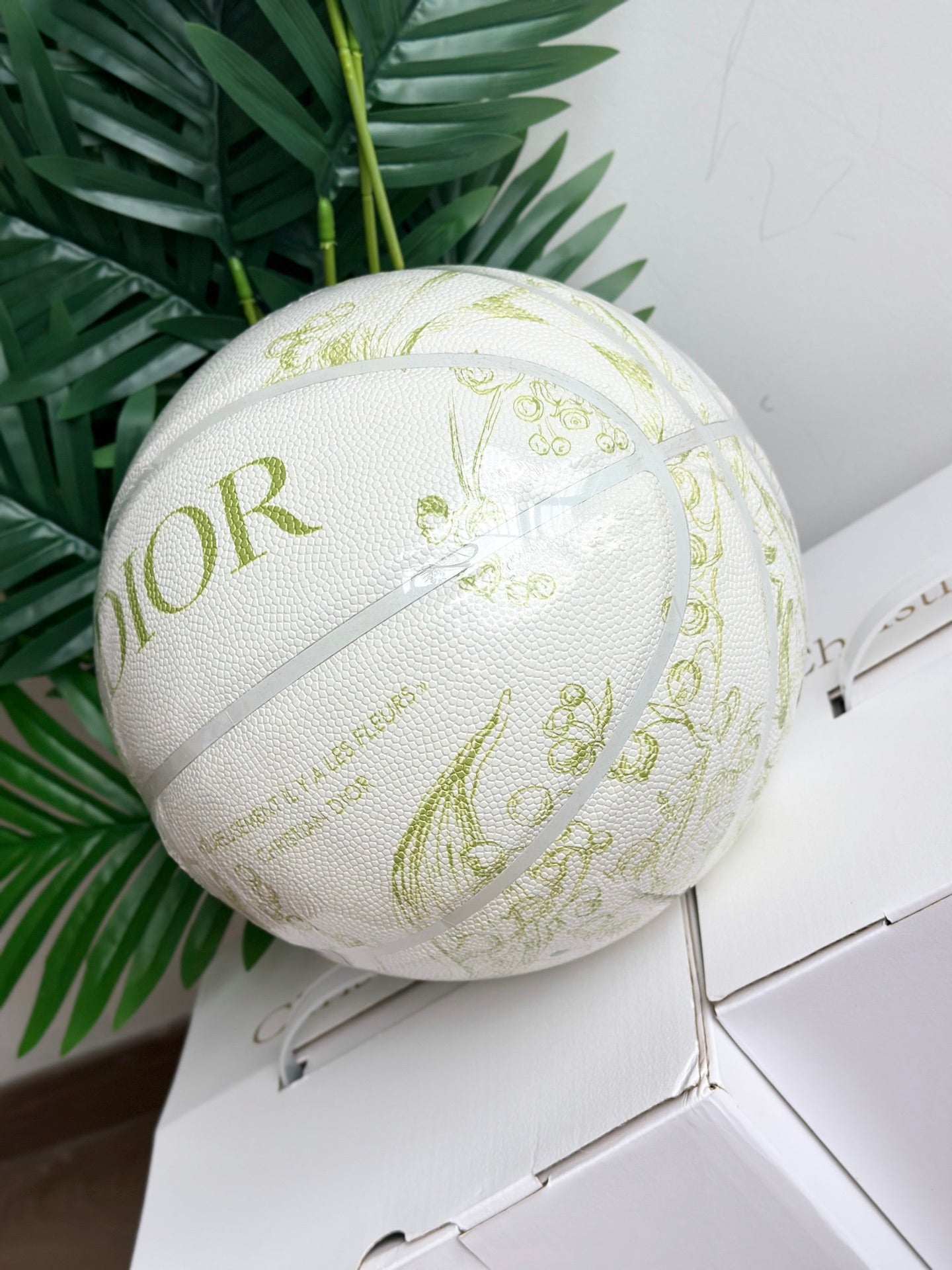 DIOR BASKETBALL 2.0