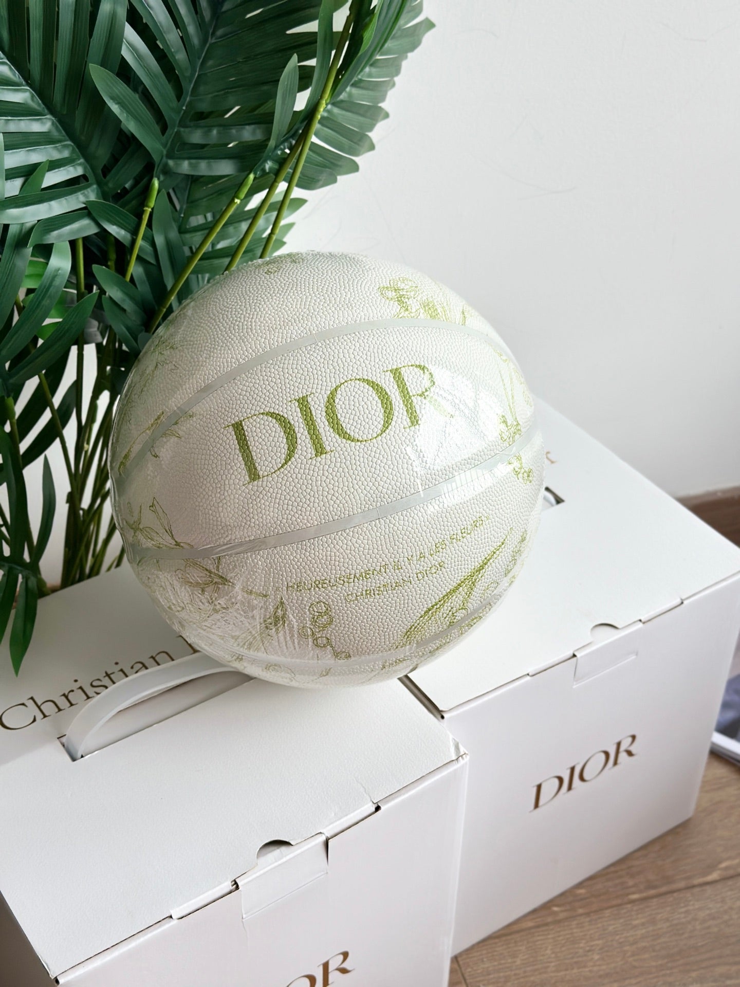 DIOR BASKETBALL 2.0