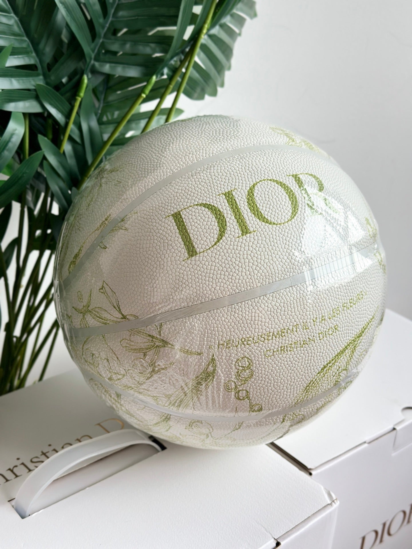 DIOR BASKETBALL 2.0