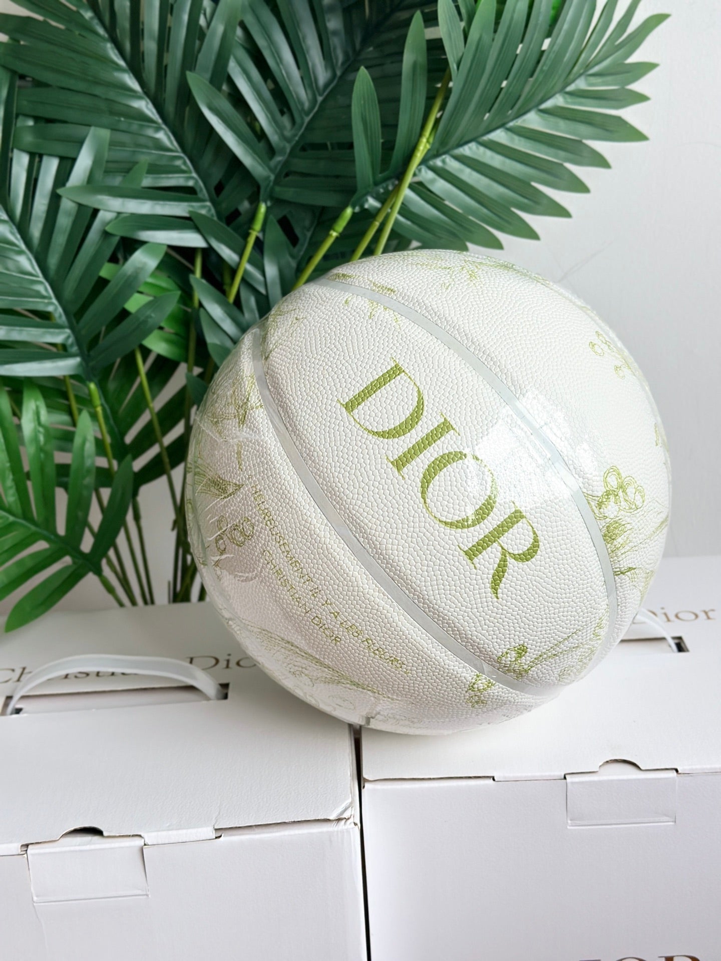 DIOR BASKETBALL 2.0