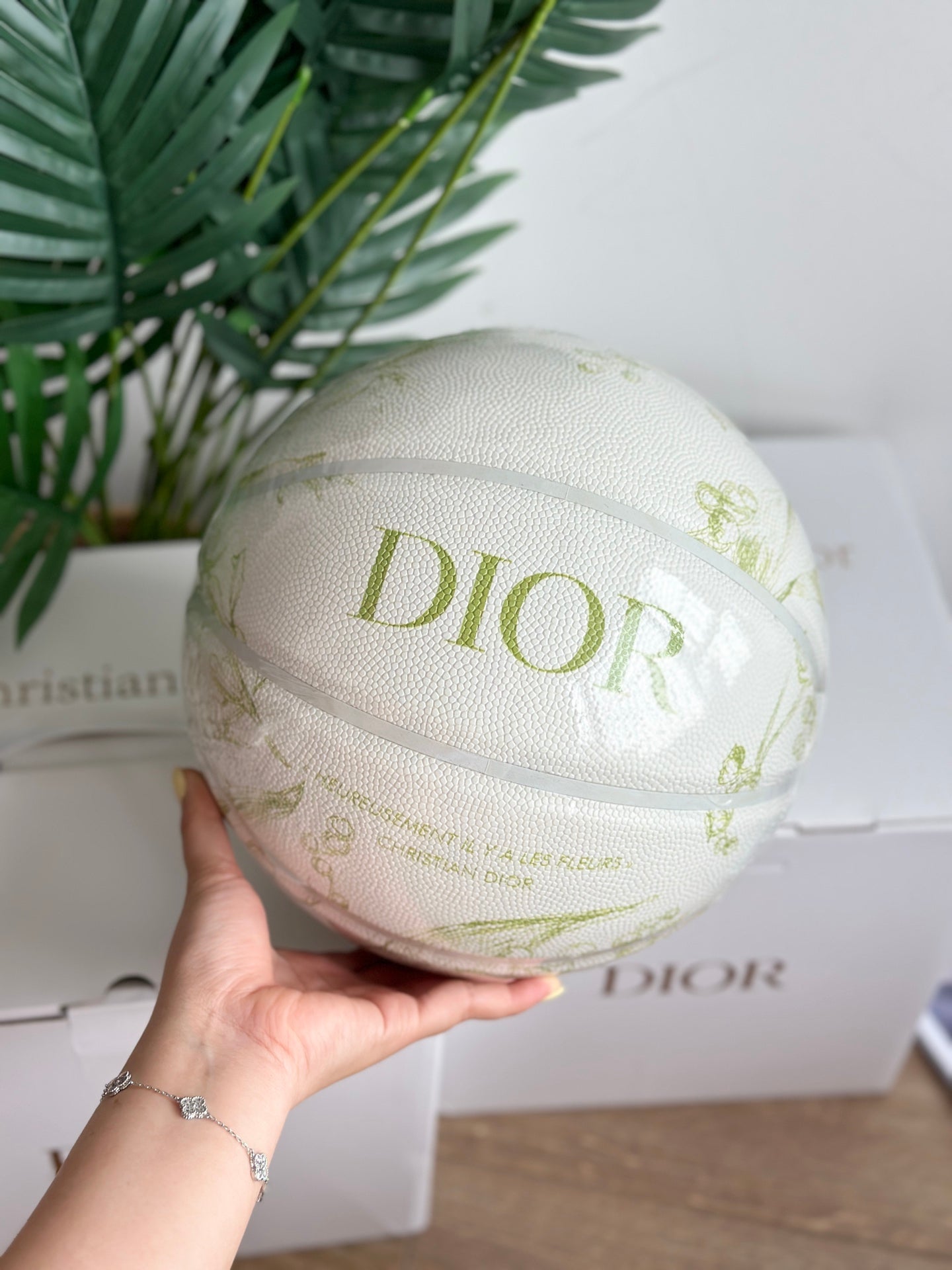 DIOR BASKETBALL 2.0