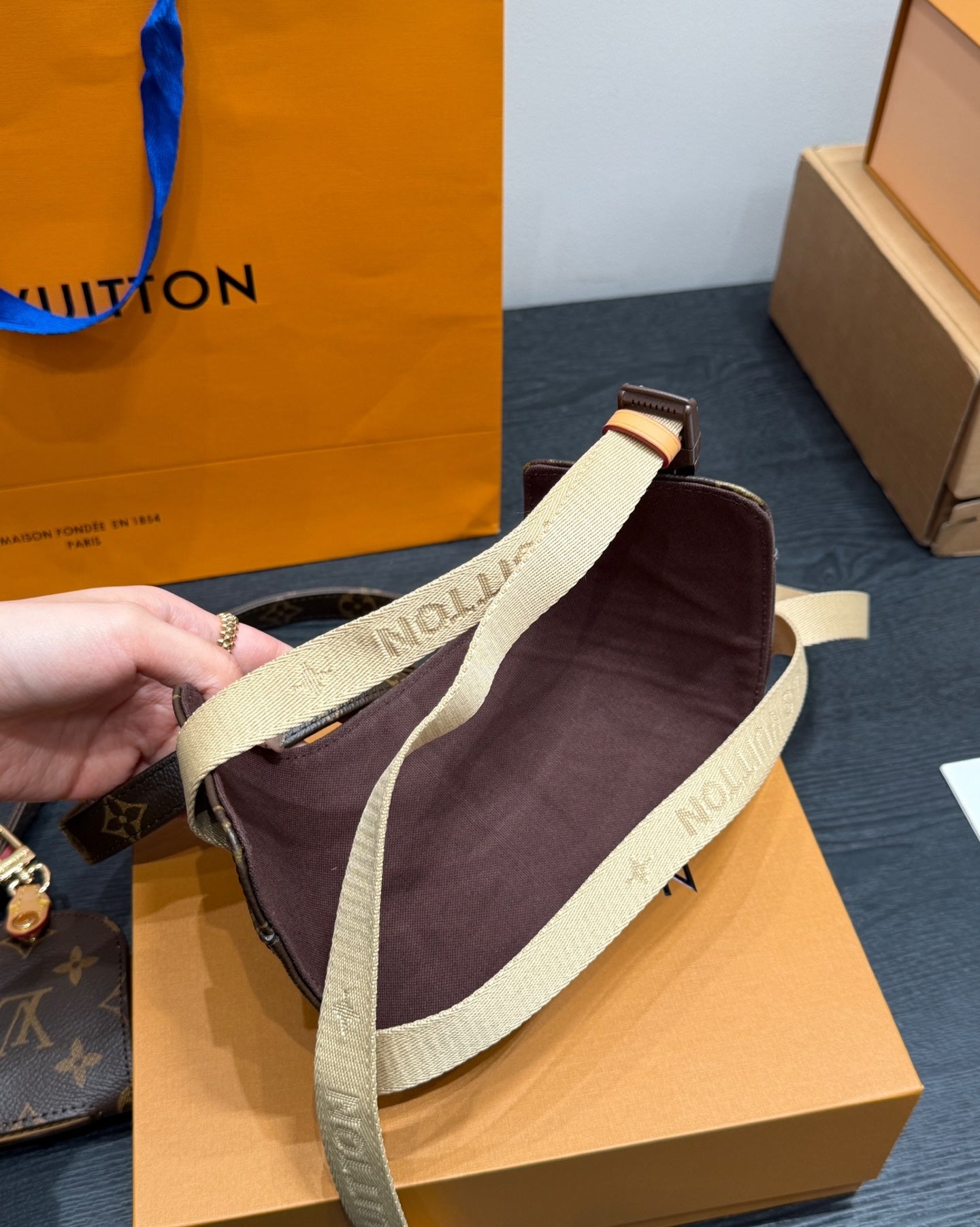 LV DOG HARNESS AND LEASH (BROWN)