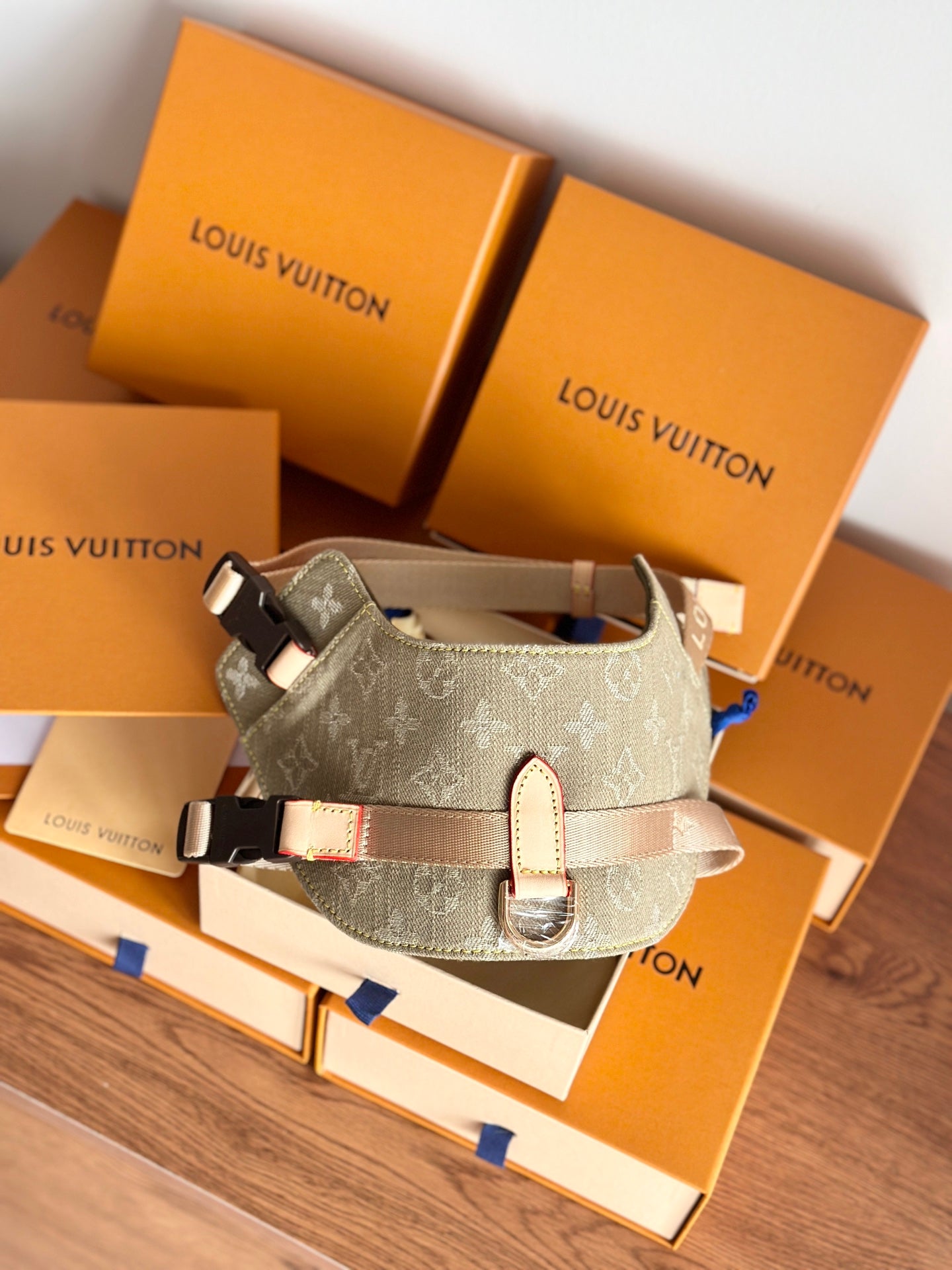 LV DOG HARNESS AND LEASH (BROWN DENIM)