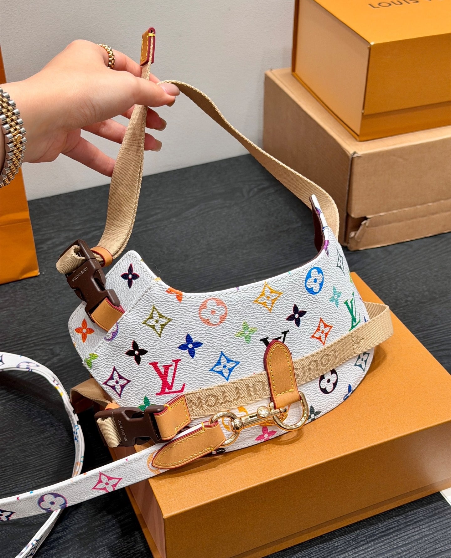 LV DOG HARNESS AND LEASH (MULTICOLOUR)