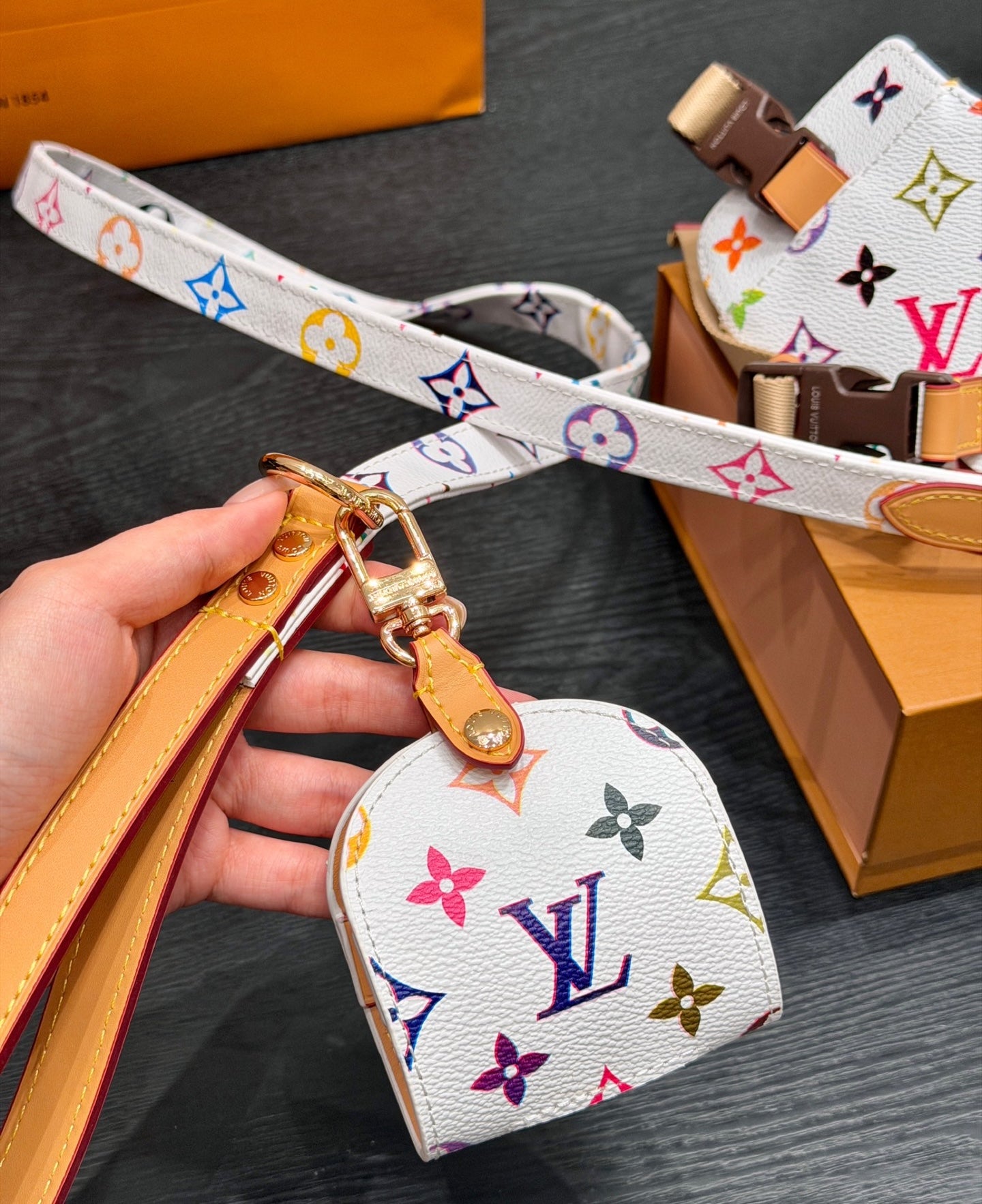 LV DOG HARNESS AND LEASH (MULTICOLOUR)