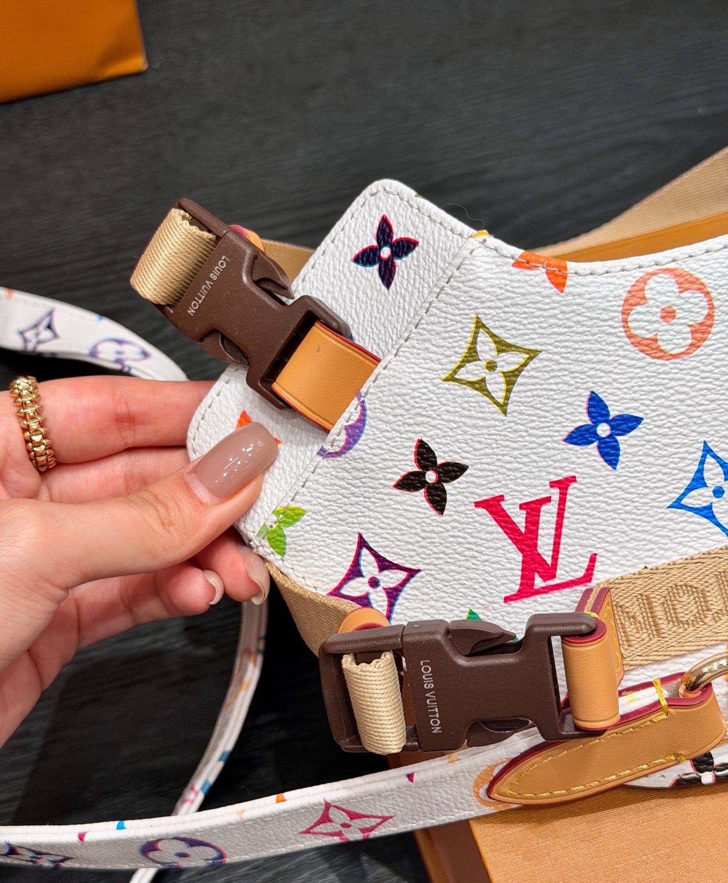 LV DOG HARNESS AND LEASH (MULTICOLOUR)