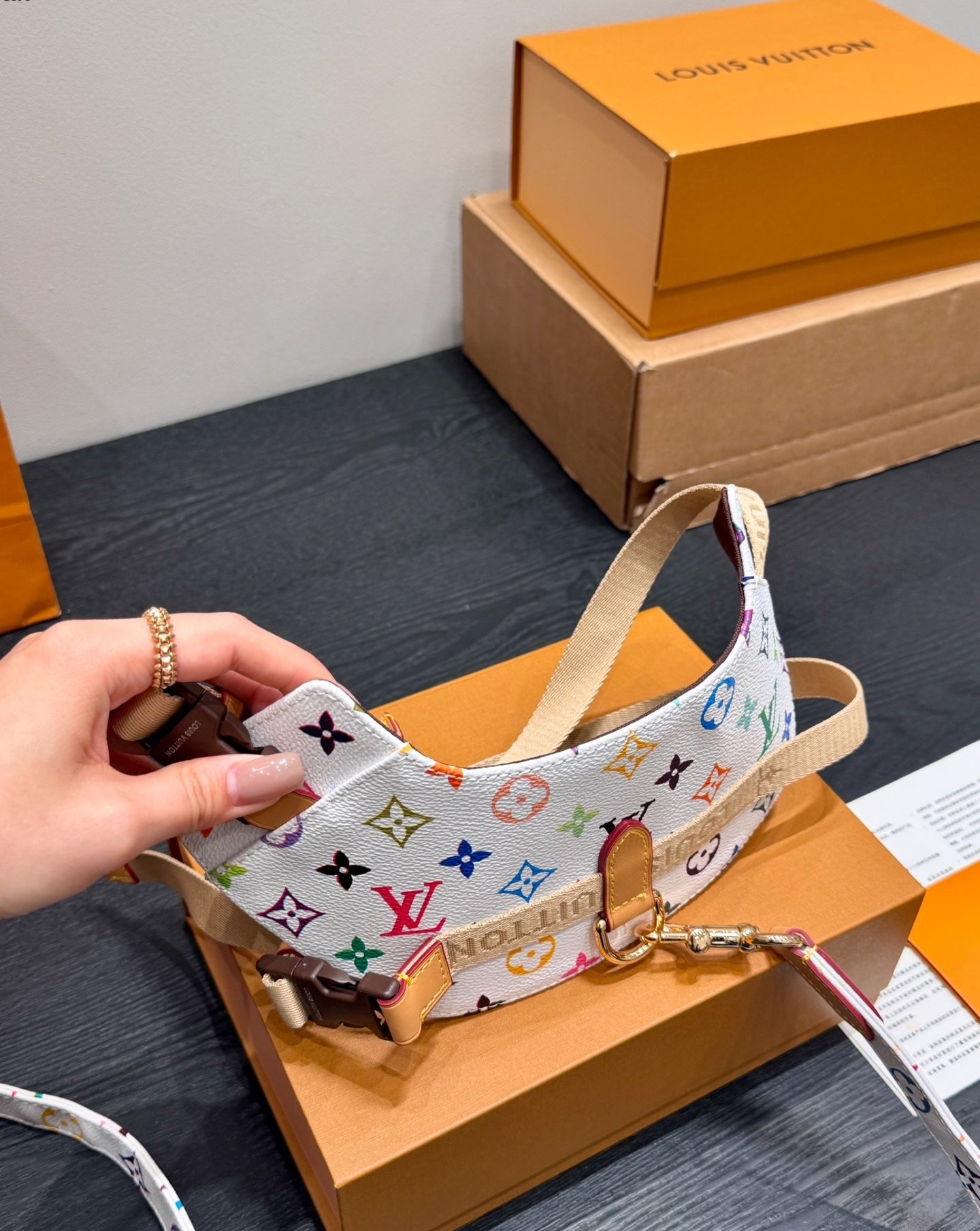LV DOG HARNESS AND LEASH (MULTICOLOUR)